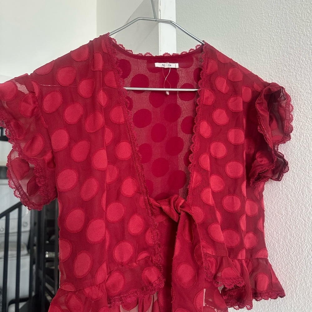 Tularosa Red Polka Dot Sheer Blouse